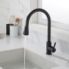 Kitchen Faucet with Pull Out Spraye-dk