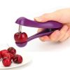 Handheld Olive Plastic Fruit Core Seed Remover