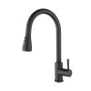 Kitchen Faucet with Pull Out Spraye-dk