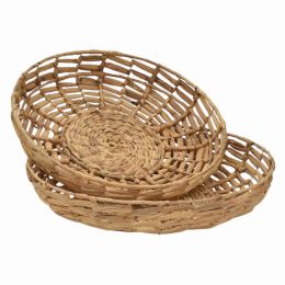 Plutus Brands Waterhyacinth Tray in Brown Natural Fiber Set